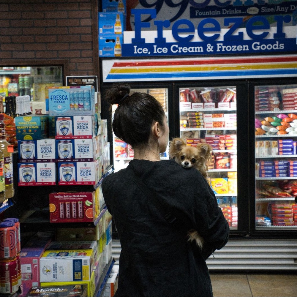 Meet your Posher, Sophia